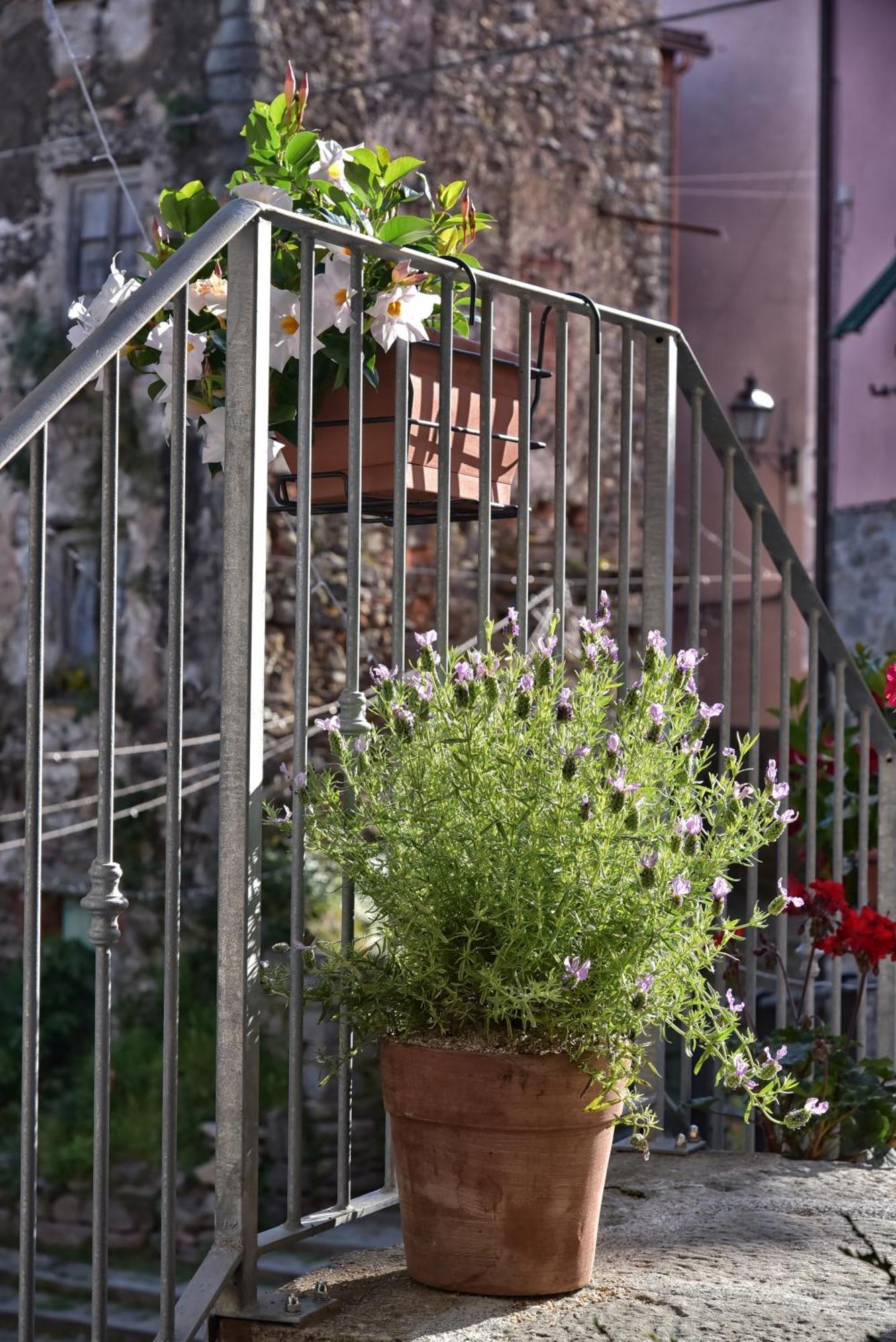 Casa Vacanze Tra I Monti E San Martino Biassa Exteriör bild